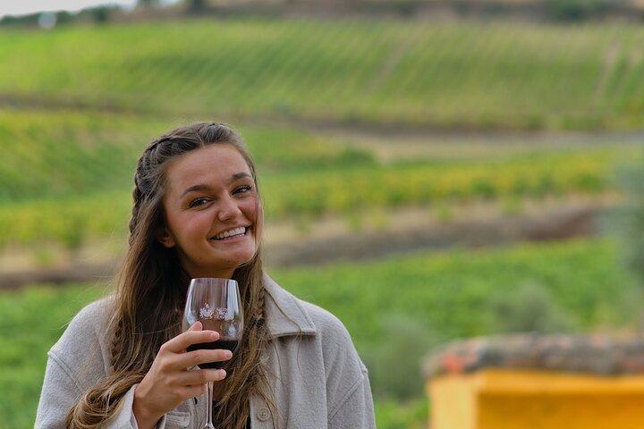 Full Day Tour to Douro Valley from Porto with Wine, Lunch & Boat