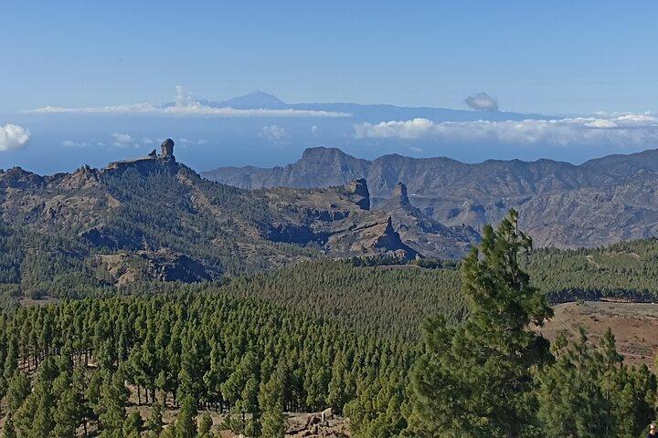 Gran Canaria Premium-tur: Vulkaner og vin til krydstogtpassagerer