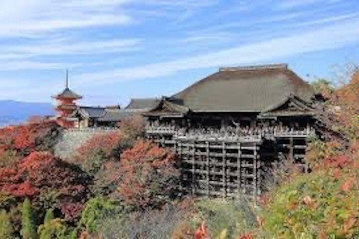 Private Customizable Kyoto Day Tour em carro
