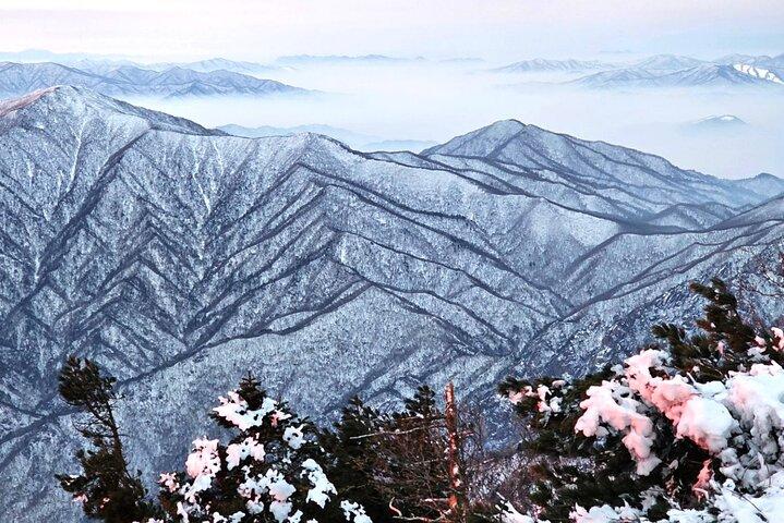 Seoraksan, Eobi Ice Valley och Nami Island Vintertur från Seoul