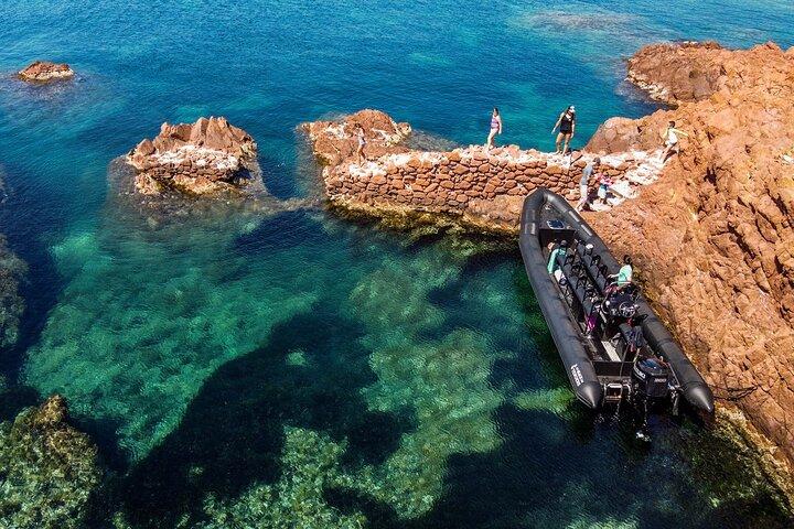 Havudflugt - Calanques af Estérel