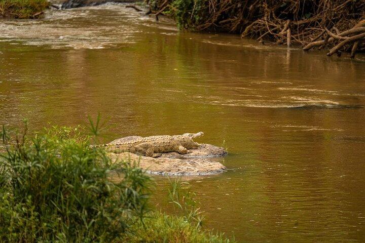 Nairobi-Nationalpark-Tour