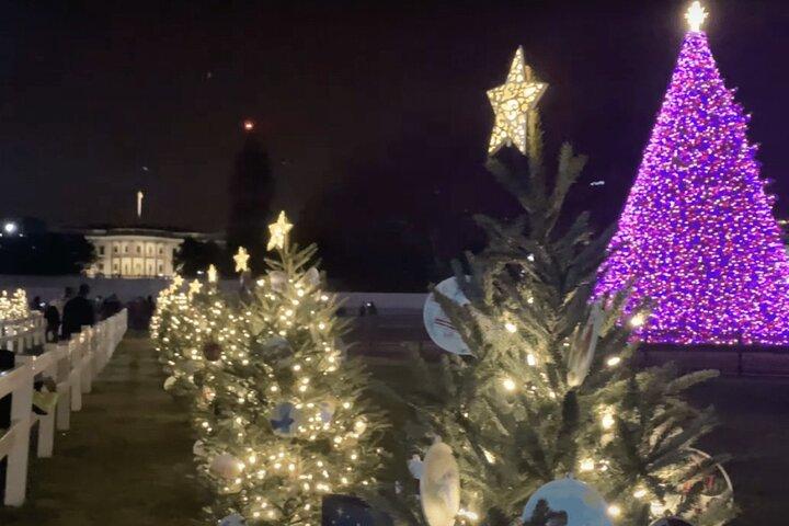 Washington, DC: National Christmas Tree & Holiday Lights Bus Tour