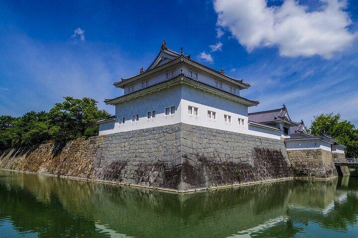 久能山東照宮と駿府城を巡る静岡プライベート歴史ツアー