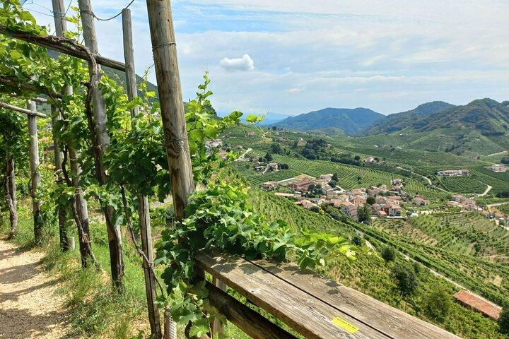 Excursão de um dia Prosecco Hills de Veneza e Treviso : 2 Vinícolas
