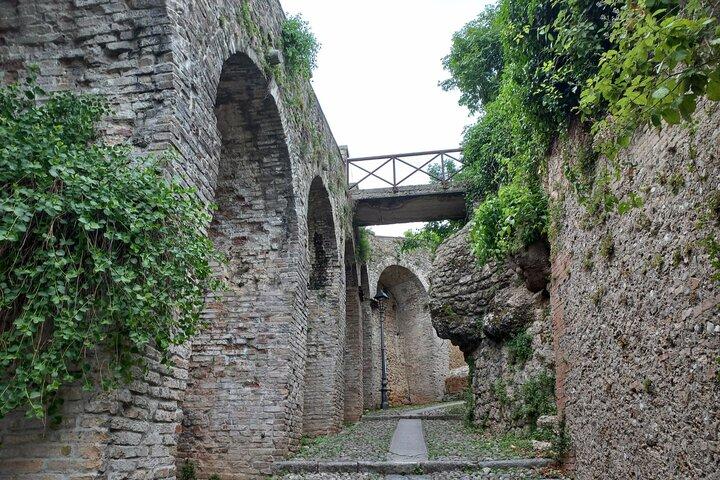 Excursão de um dia Prosecco Hills de Veneza e Treviso : 2 Vinícolas