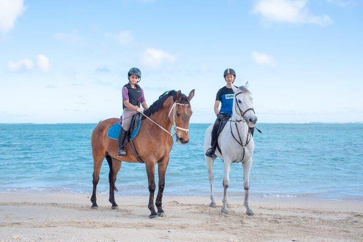 Tour di un'intera giornata : Passeggiate a cavallo sulla spiaggia ed esplora il sud-ovest