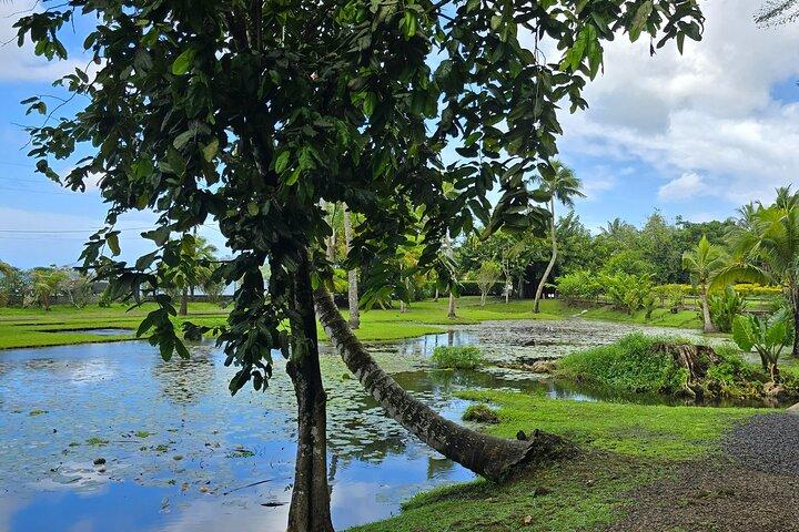 Tahiti Half Day Coastal Private Tour