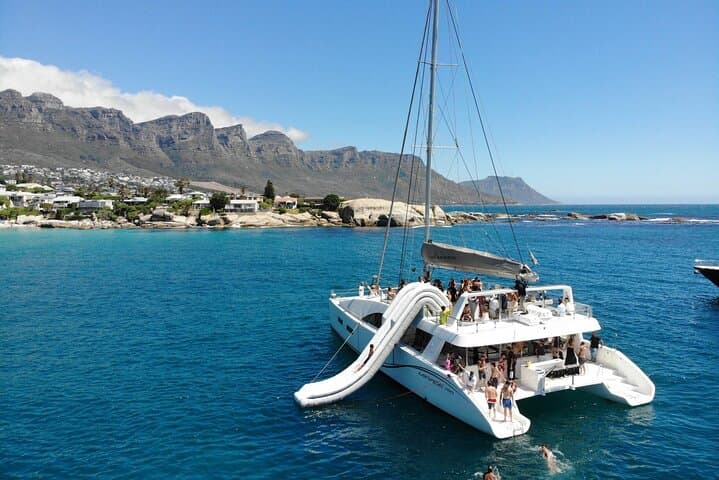 Afternoon Ocean Safari (Hotel Pickup & Dropoff incl) CAPE TOWN