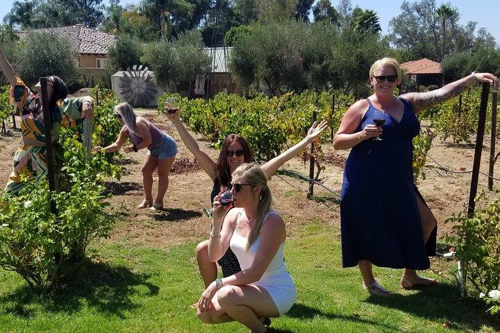 Avventura con autista ai vigneti locali di San Diego