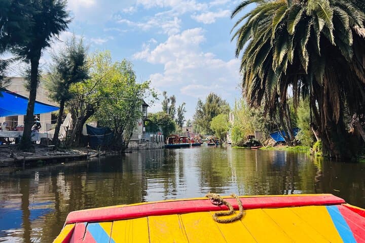 Private Tour to Xochimilco, Coyoacan and the World of Frida Kahlo