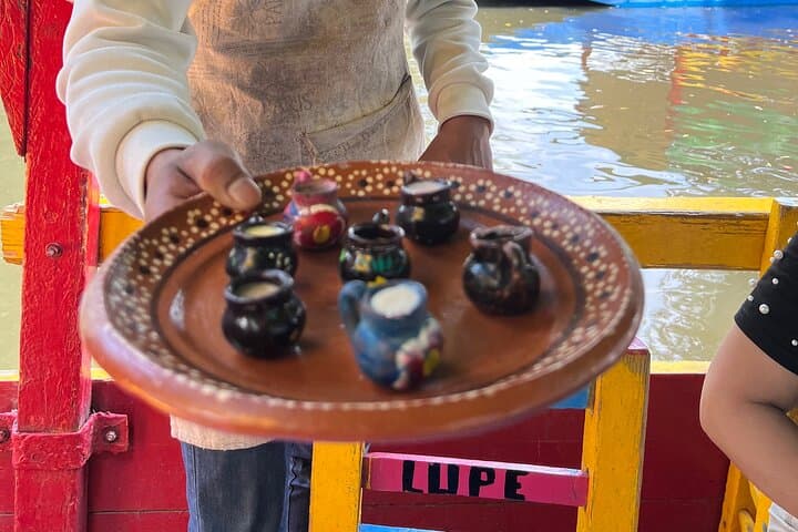 Private Tour to Xochimilco, Coyoacan and the World of Frida Kahlo