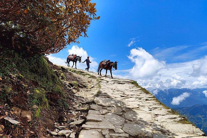 Rishikesh: 4-Day Himalayan Deoriatal Lake & Chandrashila Trek