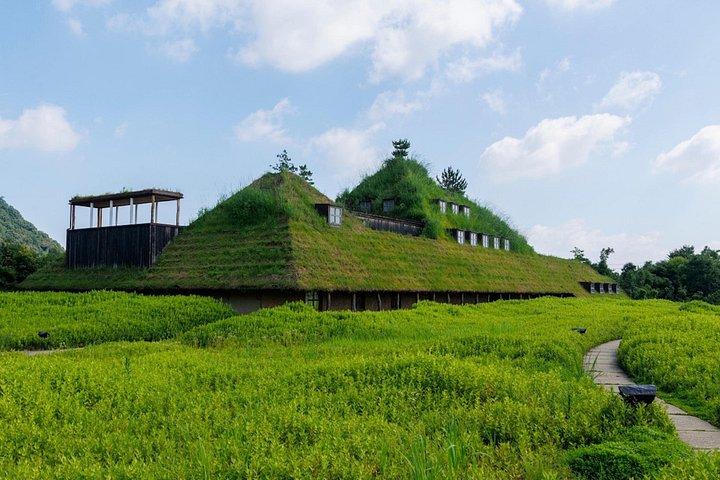 京都から近江・彦根まで車でカスタマイズ可能なプライベート日帰り旅行