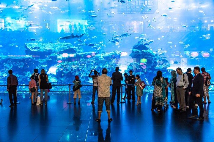 ペンギンの入り江チケットでドバイ水族館と水中動物園へ