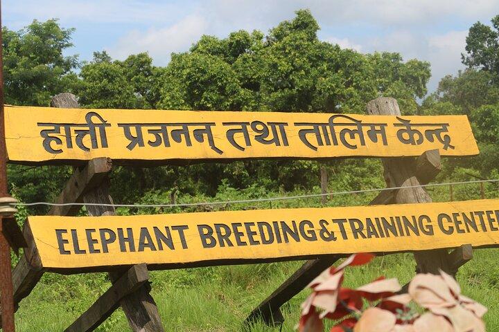 8 dage Nepal Tour pakke: Katmandu, Pokhara & Chitwan Safari