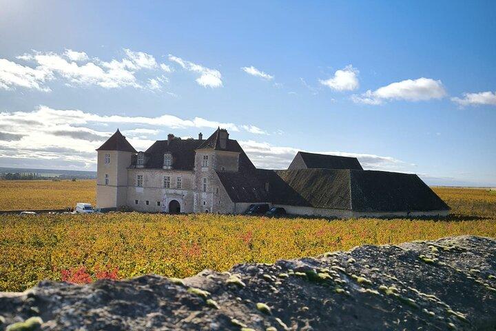 Private day tour in Burgundy : Côte de Beaune & Côte de Nuits