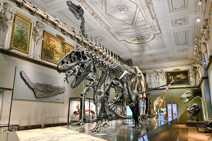 Naturhistorisches Museum Wien Eintrittskarten