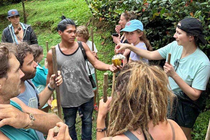 Bocas Del Toro Dolphin Bay, fattoria del cioccolato e tour dello snorkeling
