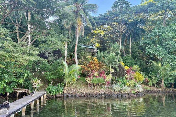 Bocas Del Toro Dolphin Bay, fattoria del cioccolato e tour dello snorkeling
