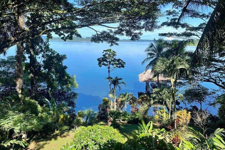 Bocas Del Toro Dolphin Bay, fattoria del cioccolato e tour dello snorkeling