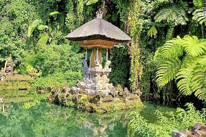 グヌン・カウィ・セバトゥ寺院ツアー（スピリチュアル・クレンジング付き）