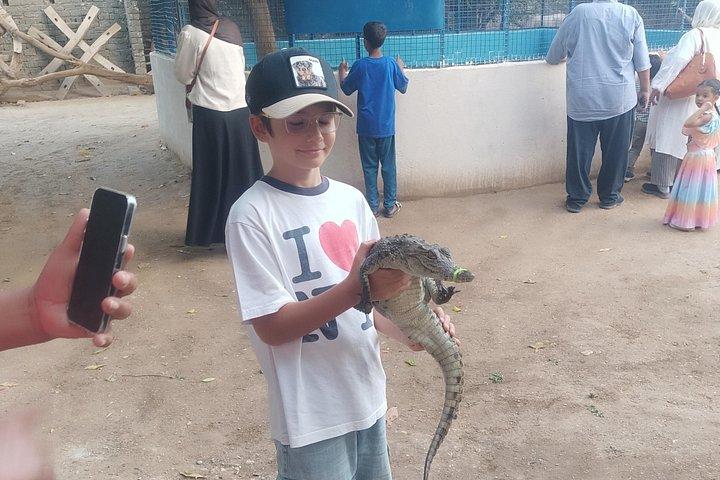 Excursion d'une journée à Louxor privée