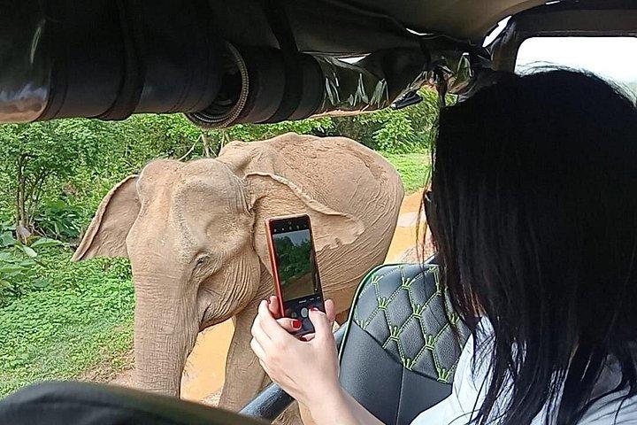 ウダワラワ公園サファリ、コロンボ/ゴール発ツアー(オールインクルーシブ)