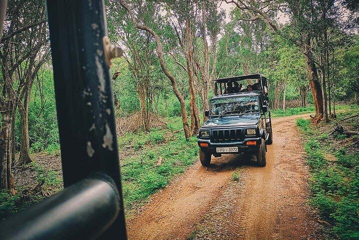 Yala Block 5 e 6 Private Jeep Safari Dia inteiro 7h ou 4h Safari
