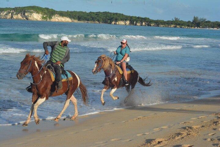 Ridning på Rancho Un Regalo De Dios! (Mulighed P)