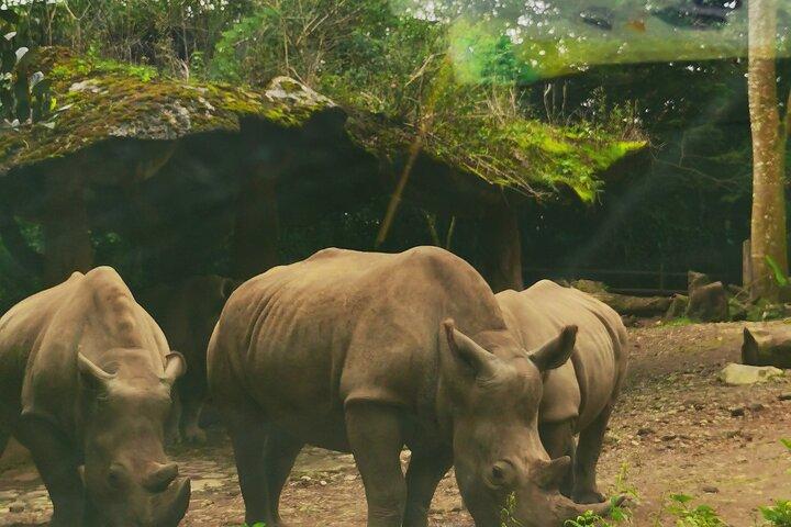 Jakarta Bogor Taman Safari Indonesië Privé autotour ervaring