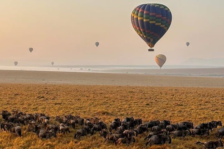 3Days 2Nights Group Budget Safari in Masai Mara