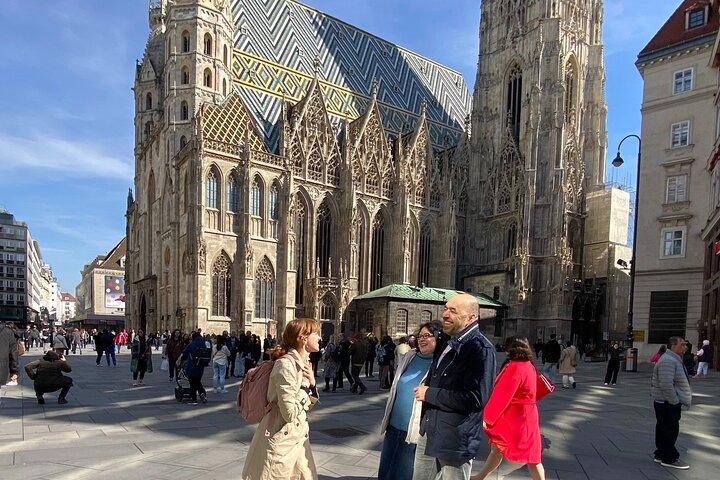 Tour privado a pie por Viena