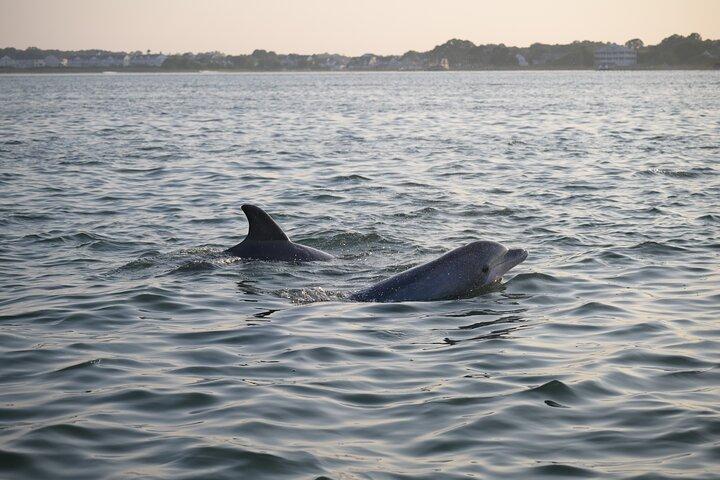 Tour privado en crucero por la isla de Assateague