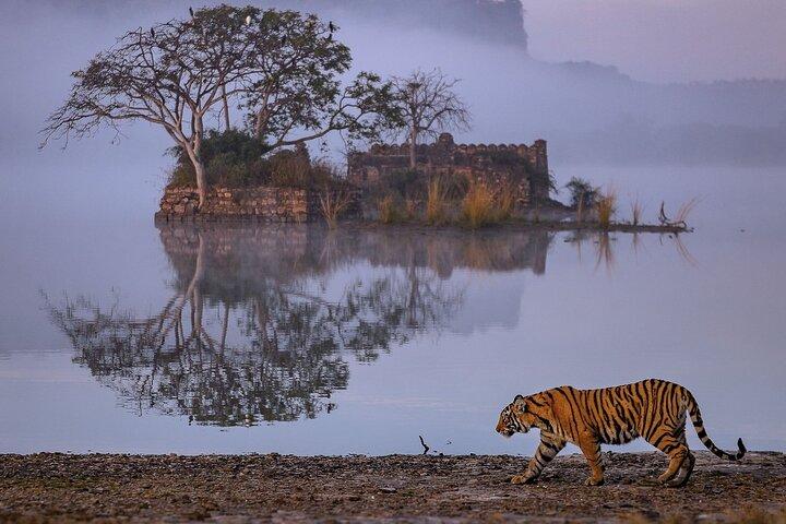 Ranthambore Safari with Canter or Gypsi