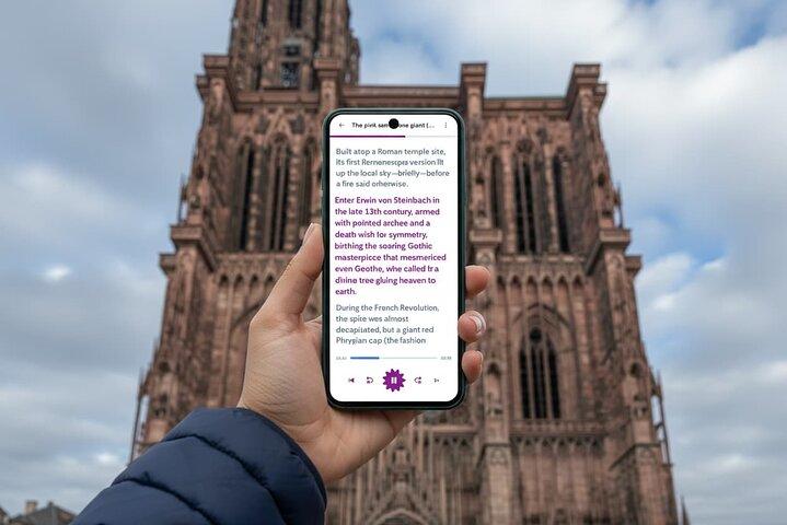 Explore Estrasburgo em um passeio a pé privado