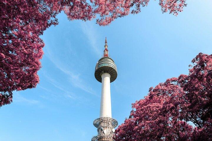 Premium privat DMZ Tour med hängbro eller N Seoul Tower