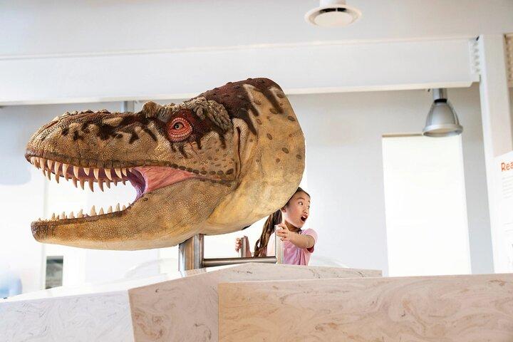 Drumheller Day Trip Museum, dinosauri e siti storici