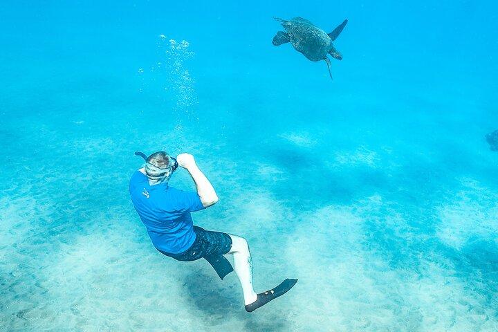 マウイ島：モロキニ島＆タートルタウンシュノーケル＆ウォータースライドアドベンチャー