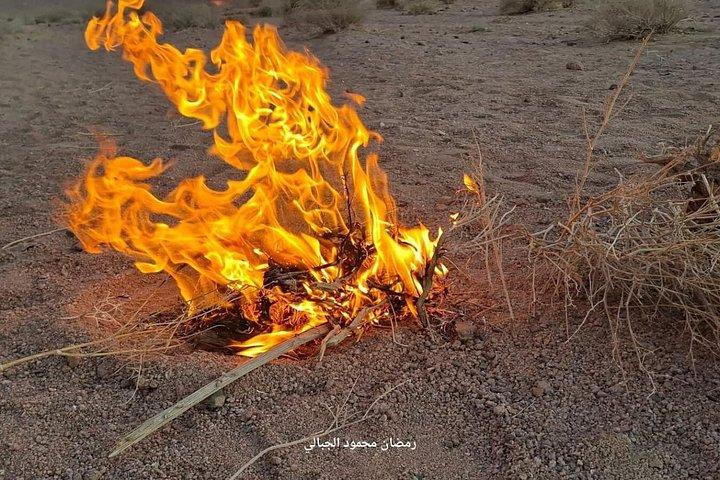 カイロから一晩かけて聖カタリナ修道院とシナイ山へ