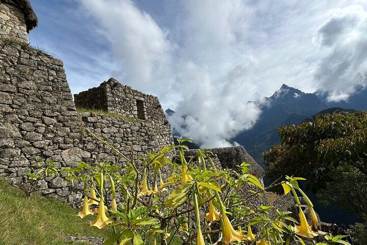 10 dias Machu Picchu Tour a partir de Cusco