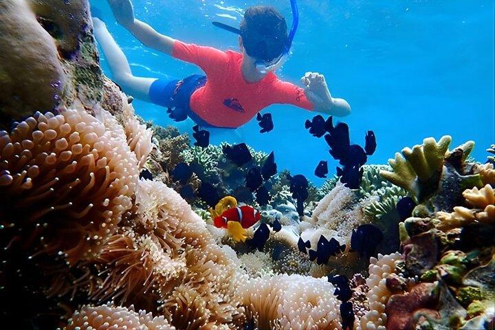 2 jours Bali Escape Menjangan Snorkeling et Bali Nord