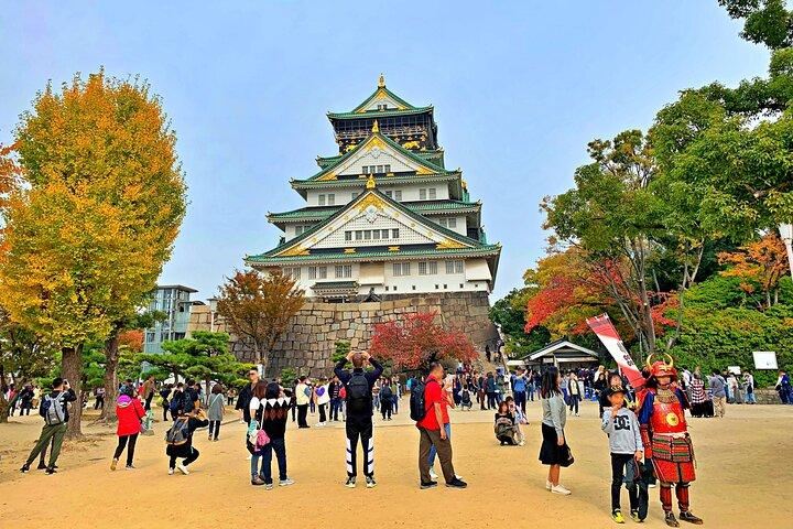 Osaka Castle historische privétour