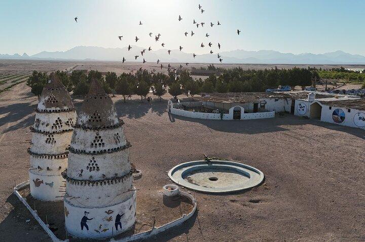 Stargazing Safari Adventure by Jeep with Bedouin Dinner-Hurghada