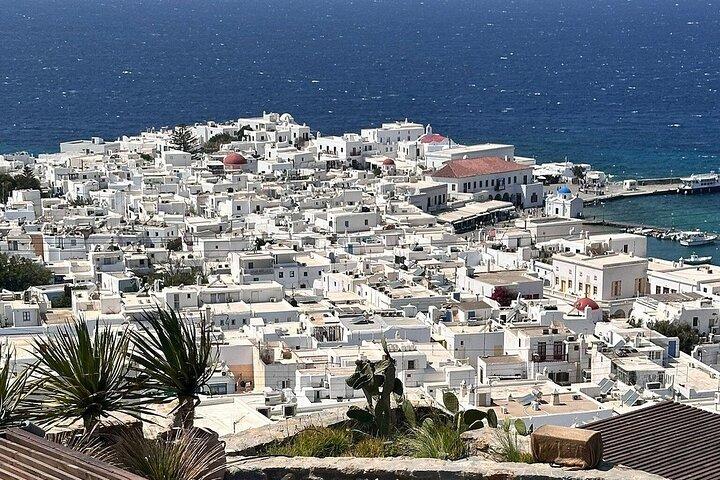 Halvdagstur Mykonos upplevelse