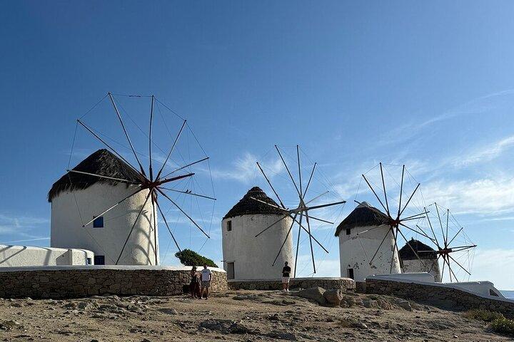 Tour di mezza giornata Mykonos Experience