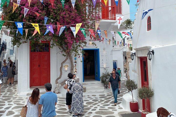 Tour di mezza giornata Mykonos Experience