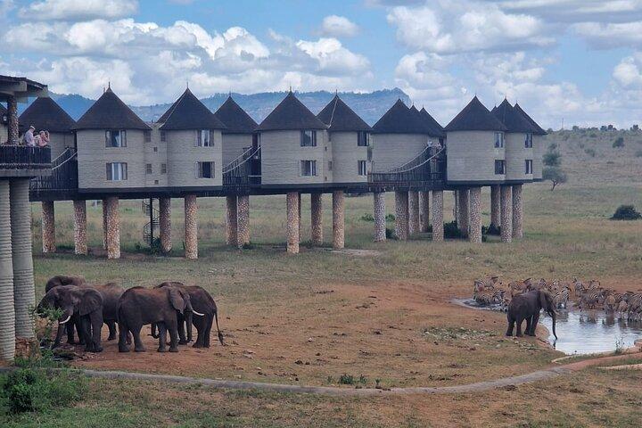 Taita Hills Wildlife Sanctuary Mehrtägige Tour Erfahrung