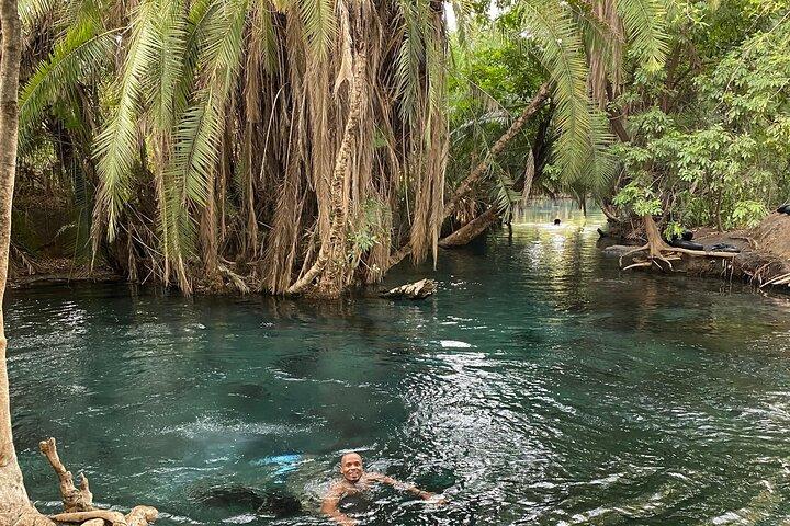 Kikuletwa (chemka) Hot Springs