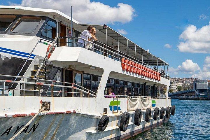 Bosphorus Sightseeing Cruise with Optional 4 Course Dinner